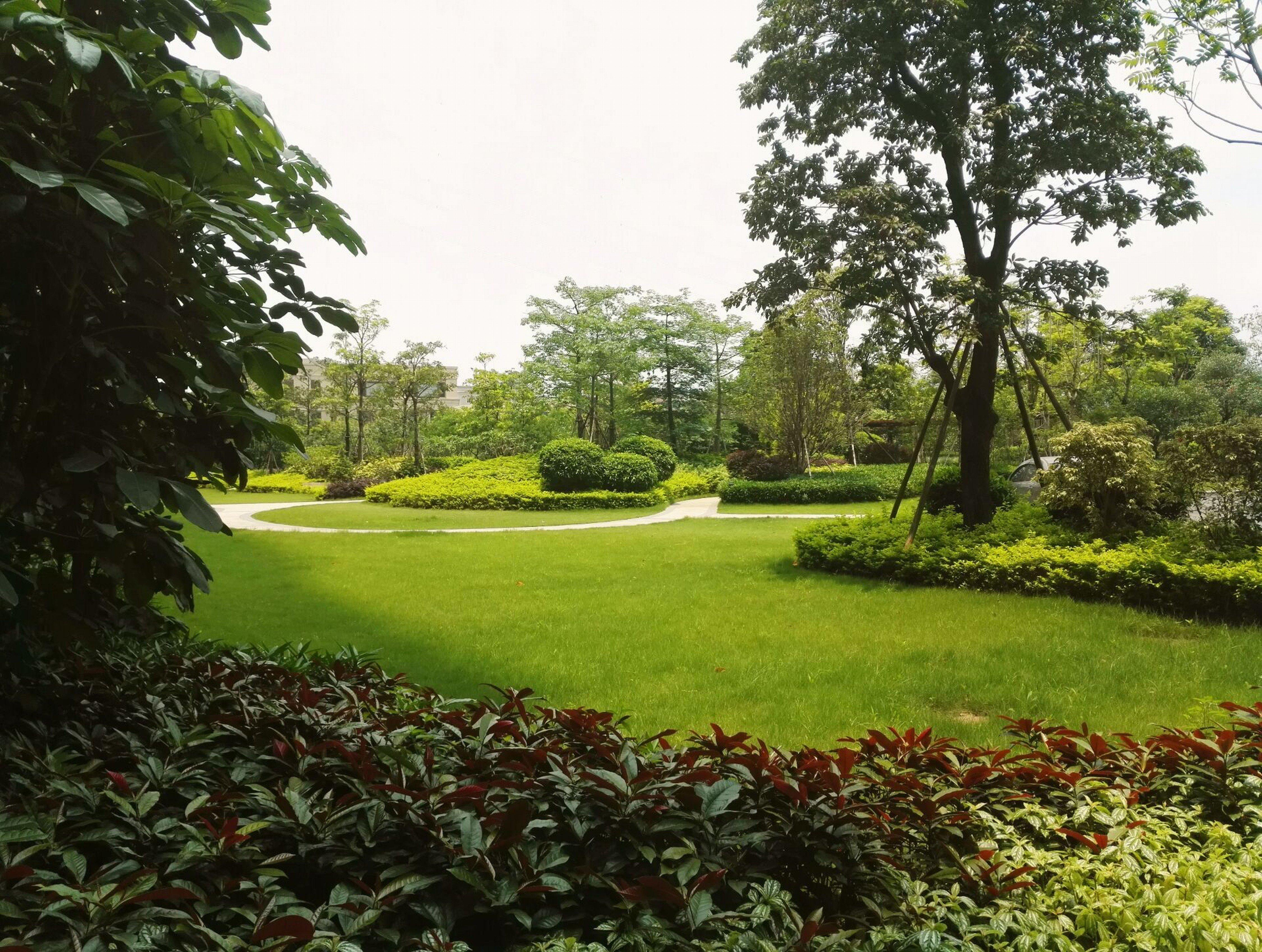 Crowne Plaza Guangzhou Zengcheng, an IHG Hotel Exterior foto