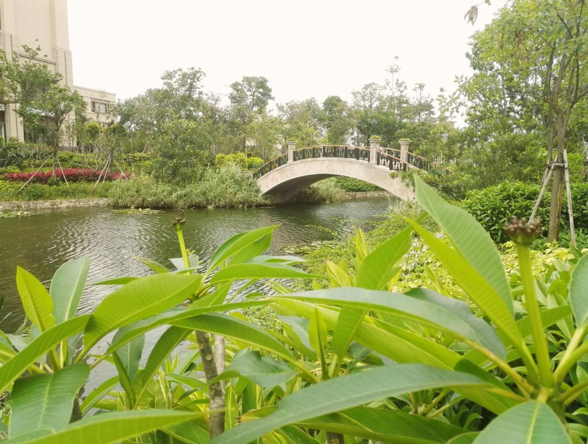 Crowne Plaza Guangzhou Zengcheng, an IHG Hotel Exterior foto